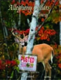 Bottle of Posted Red Wine